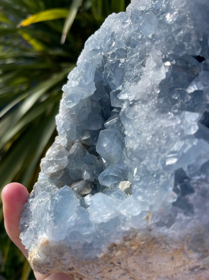 Celestite Raw Statement Crystal