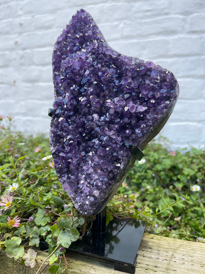 Amethyst Freeform with Stand | 2kg | Statement Piece