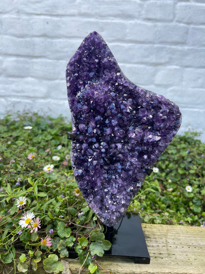 Amethyst Freeform with Stand | 2kg | Statement Piece