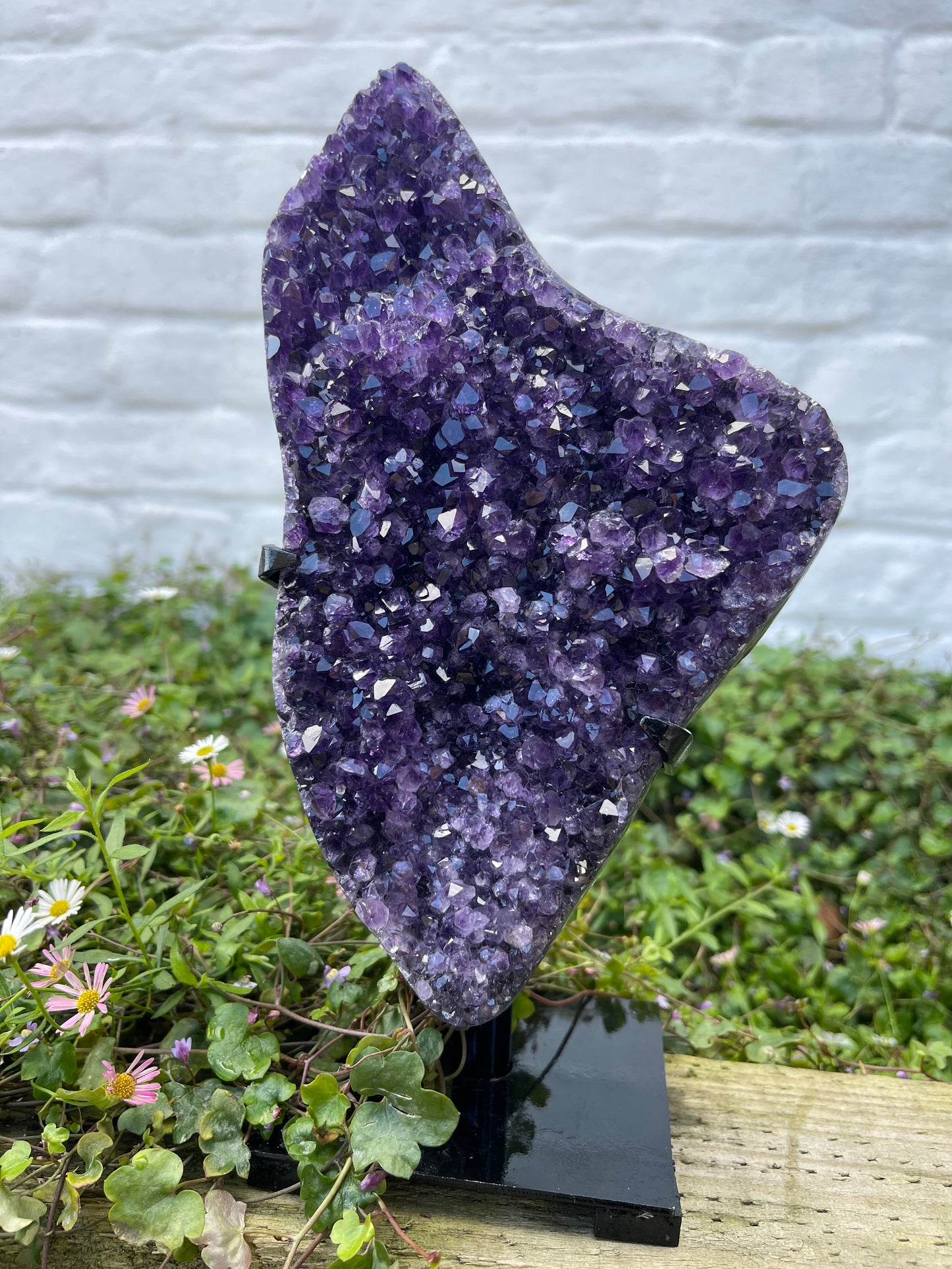 Amethyst Freeform with Stand | 2kg | Statement Piece