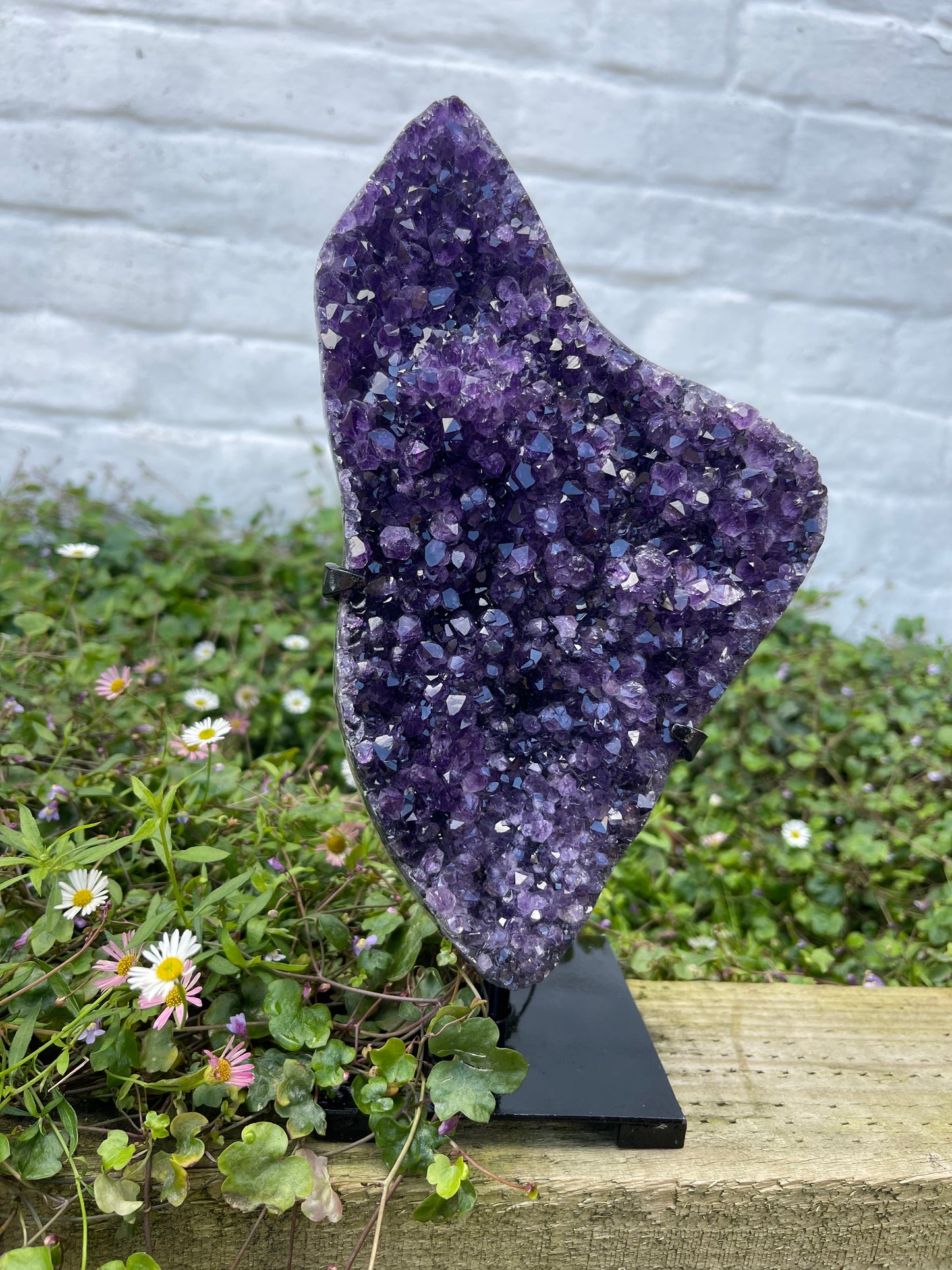 Amethyst Freeform with Stand | 2kg | Statement Piece