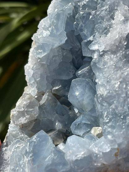 Celestite Raw Statement Crystal