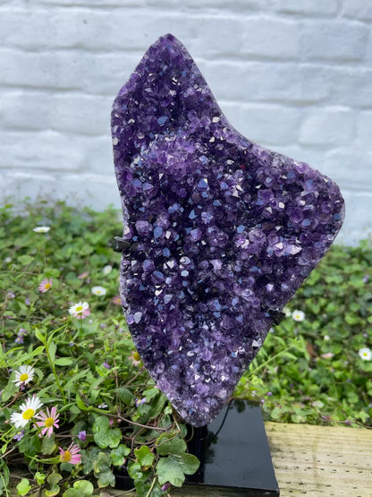 Amethyst Freeform with Stand | 2kg | Statement Piece