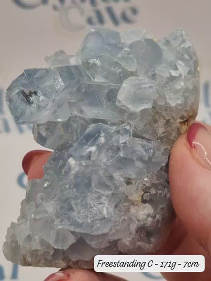 Celestite Freeform | Raw Crystal | Freestanding